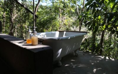 Bienestar regenerativo: la tendencia sostenible que está revolucionando el turismo