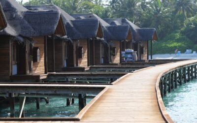 Bienestar verde: ideas para incorporar la sostenibilidad en el lujo de tu hotel y mejorar la experiencia del huésped