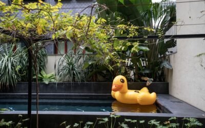 Conéctate con la naturaleza: los spas ecológicos más exclusivos en entornos vírgenes