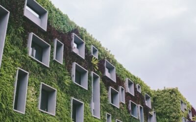 Explora la belleza y sostenibilidad de los hoteles con diseño bioclimático más impresionantes del mundo