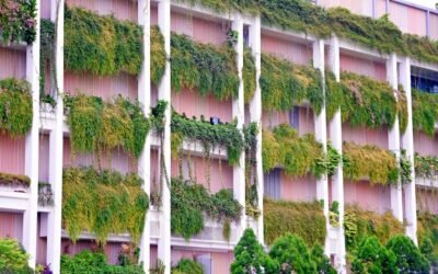 Descubre los mejores hoteles ecológicos en Dubái y Abu Dabi: ¡sé parte del turismo sostenible!